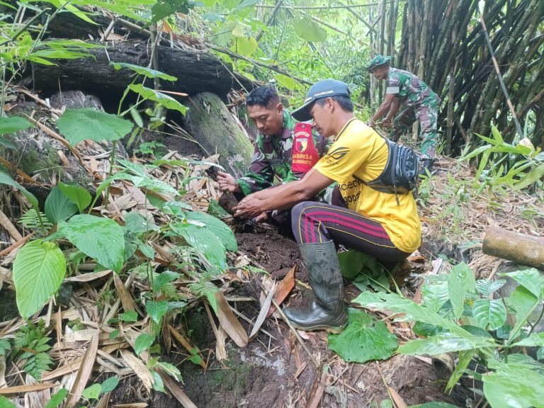 UpayaKonservasi Lingkungan, Babinsa dan Warga Tanam Pohon di Sumber Mata Air Sedaeng