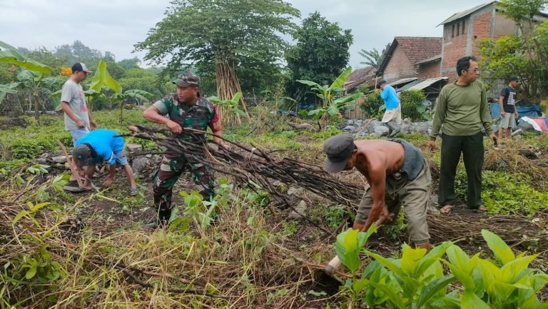 Kebersamaan Babinsa dan Warga Klampokarum Gotong Royong Bersihkan Sekitar Balai Desa
