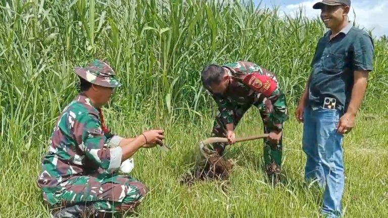 Penanaman Pohon Buah di Desa Barat: Langkah Menuju Desa Ramah Lingkungan