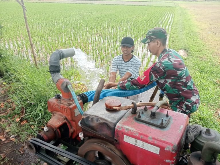 Sinergi Babinsa Denok dan Kelompok Tani Makmur: Solusi Pengairan Lahan Padi di Dusun Denok Wetan
