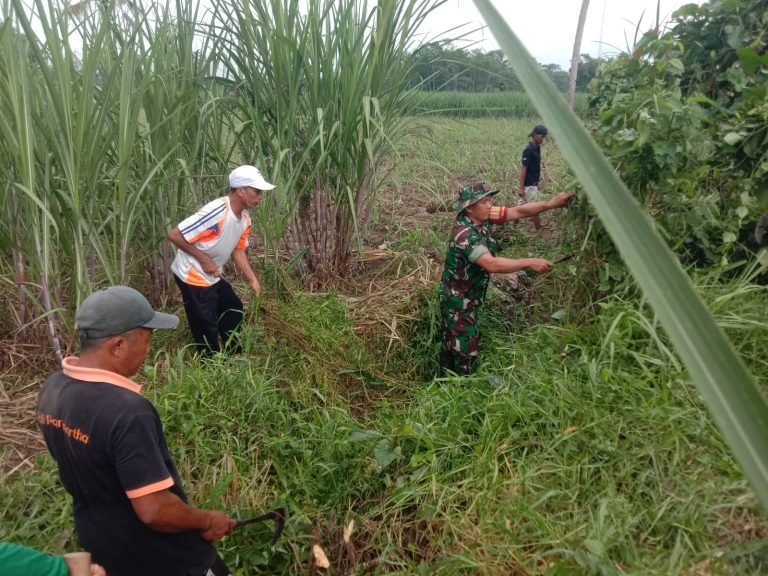 Kerja Bakti Pembersihan Saluran Irigasi di Desa Uranggantung untuk Mendukung Pertanian