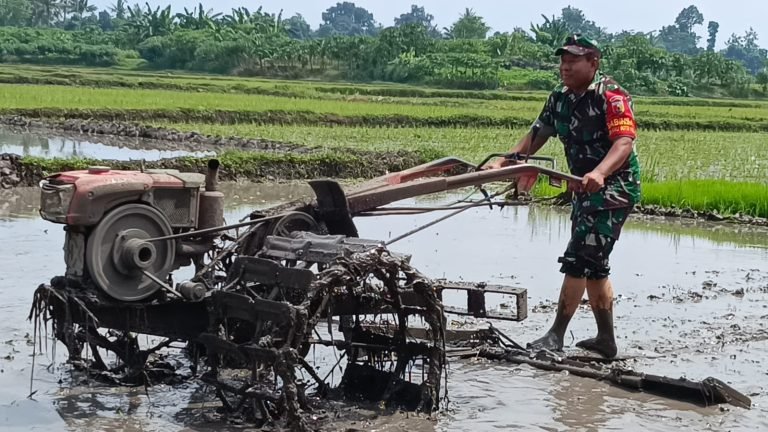 Babinsa Kaliboto Kidul Dampingi Petani Olah Lahan untuk Tingkatkan Produktivitas Padi