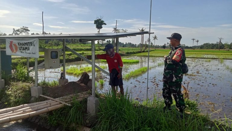 Babinsa Tekung Dampingi Pemantauan Pompa Sumur Simbel Panel Surya untuk Pastikan Kelancaran Irigasi Babinsa Tekung Dampingi Pemantauan Pompa Sumur Simbel Panel Surya untuk Pastikan Kelancaran Irigasi