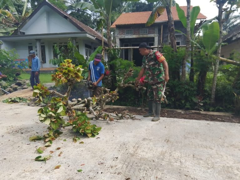Karya Bakti di Dusun Carang Kuning: Babinsa Jambekumbu Jadi Inspirasi Kebersamaan Karya Bakti di Dusun Carang Kuning: Babinsa Jambekumbu Jadi Inspirasi Kebersamaan