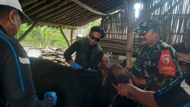Lindungi Sapi dan Kambing, Babinsa Sukosari Dampingi Vaksinasi Ternak Warga