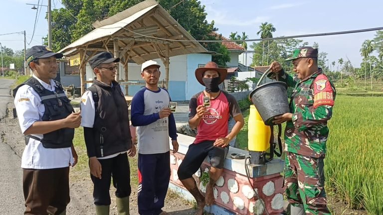 Petani Mojosari Bersama Babinsa dan PPL Berantas Hama Kresek di Lahan Poktan Assalam Sejahtera