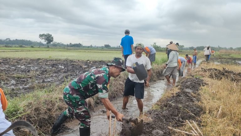 Kolaborasi Babinsa Kedungrejo dan Petani: Saluran Irigasi Perintis Kini Lebih Lancar