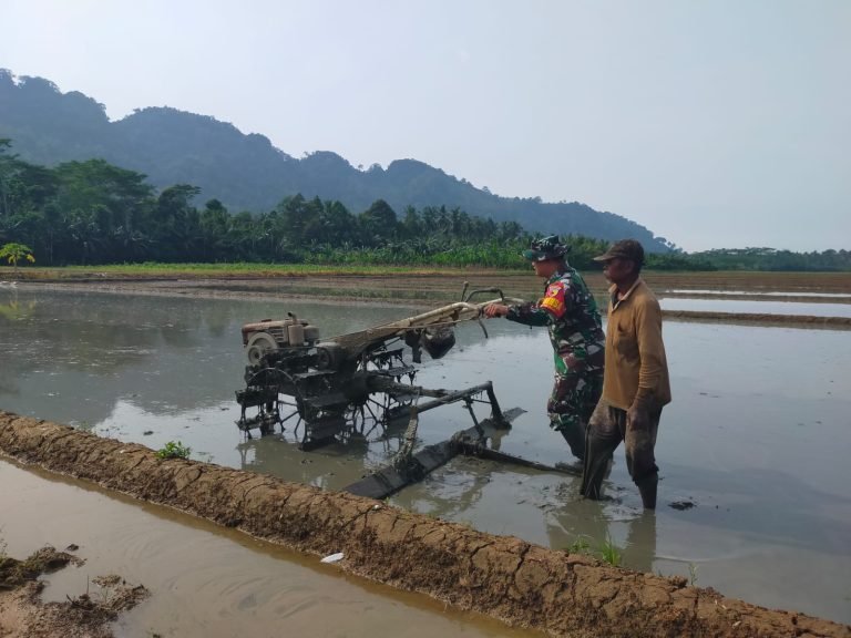 Melalui Pengolahan Lahan Petani, Pendampingan Babinsa Tempursari Dukung Ketahanan Pangan