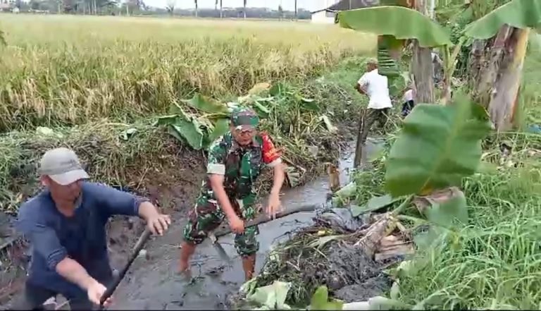 Dukung Pertanian, Babinsa Rogotrunan Bantu Normalisasi Irigasi di Sungai Rogotrunan-Boreng