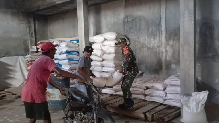 Jaga Kualitas Gabah, Babinsa dan KUD Kompak Kawal Proses Penggilingan