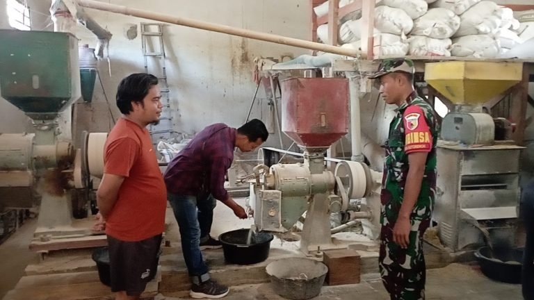 Dorong Ketahanan Pangan, Babinsa Kawal Penyerapan Gabah di Kutorenon