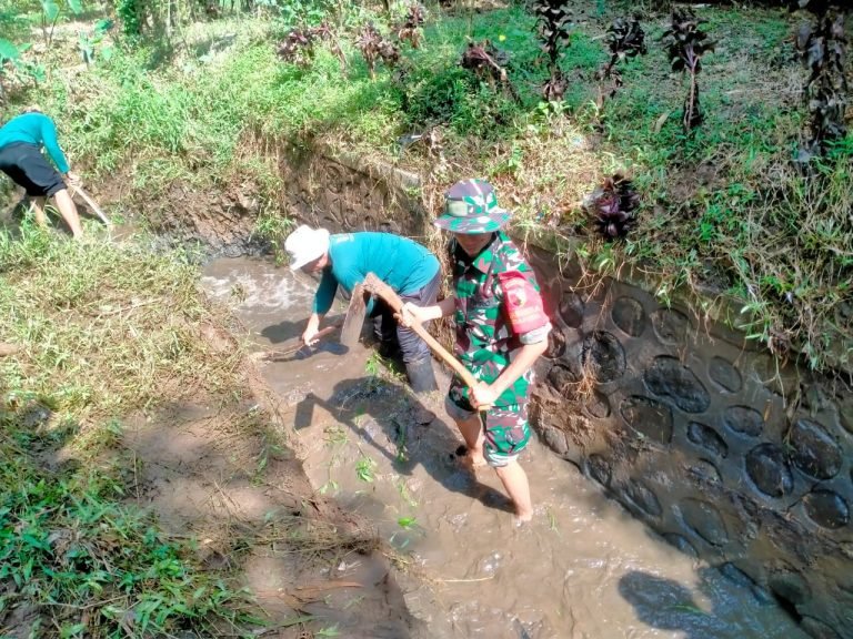 Semangat Gotong Royong, Babinsa dan Warga Kertowono Kerja Bakti Normalisasi Irigasi 