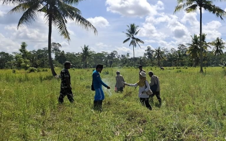 Perangi Hama Tikus, Babinsa dan Petani Tani Mulyo Kompak di Lahan Cerme Kulon