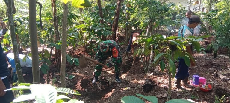 TNI-AD Hadir di Tengah Petani, Babinsa Sosialisasikan Keamanan dan Pengolahan Pupuk Organik