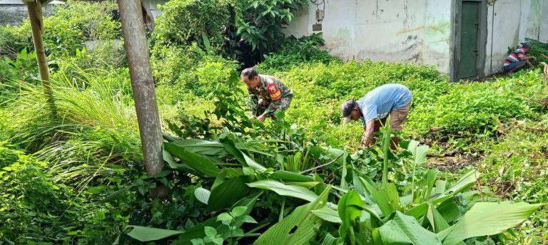 Wujud Peduli Lingkungan, Babinsa dan Warga Condro Bersihkan Semak Belukar di Lahan Kosong 