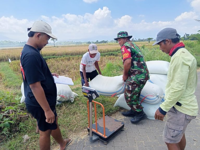 Kolaborasi Babinsa, Bulog, dan PPL Dorong Sergab di Desa Sukosari