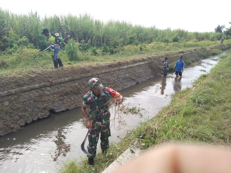 Sinergi Babinsa dan Petani: Saluran Irigasi Sekunder Blukon 3 Dibersihkan