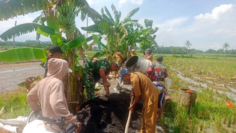 Tingkatkan Akses Warga, Babinsa Sukosari Kawal Pembangunan Jalan Rabat Rowokul