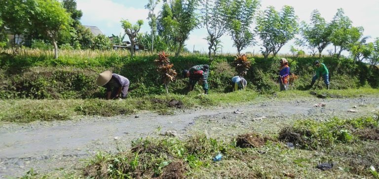 Kerja Bakti Pembersihan Parit, Babinsa Wujudkan Kemanunggalan TNI-Rakyat