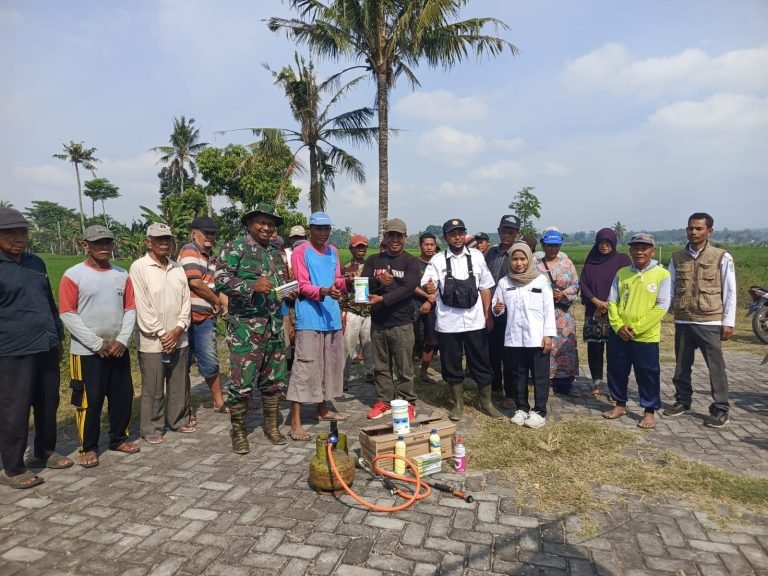 Gerakan Serentak Kendalikan Hama Tikus, Babinsa Petahunan Beri Dukungan Penuh