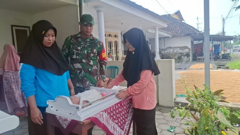 TNI Peduli Generasi Emas: Babinsa Dampingi Posyandu di Gerbangmas Eforbia Kunir Kidul