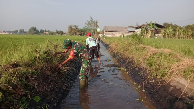 Pembersihan Dam Glinding: Langkah Kecil untuk Hasil Besar Petani Sumbersari