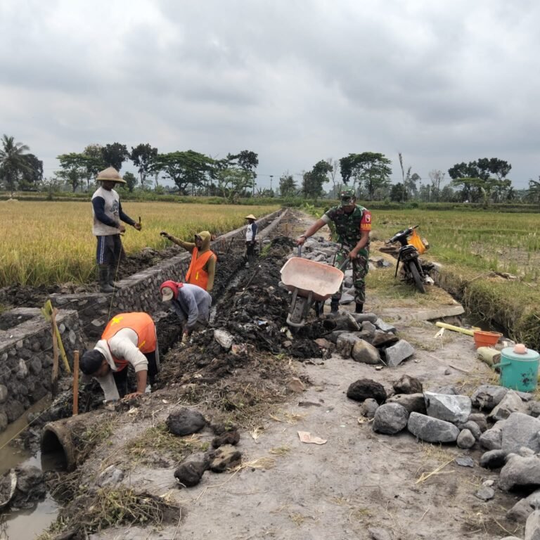Infrastruktur Pertanian, Babinsa Kawal Pembangunan Parit untuk Lahan Mitra Tani Rojopolo