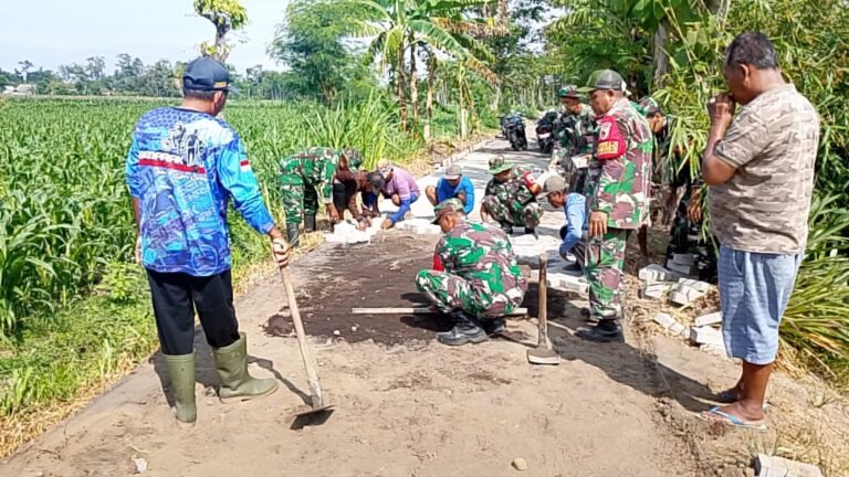 Sambut HUT TNI ke-80, Koramil 0821-11 Yosowilangun Gelar Karya Bakti di Lahan Pertanian