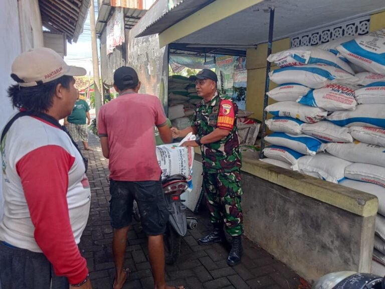 Bersama Petani, Babinsa Wonogriyo Kawal Pendistribusian Pupuk Demi Ketahanan Pangan