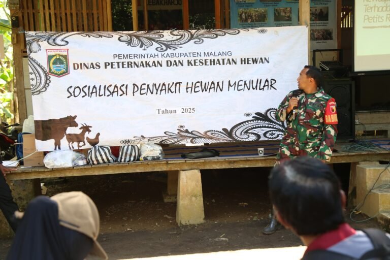 Sosialisasi dan Pengobatan Massal Ternak, Satgas TMMD ke-126 Bersama Dinas Peternakan Tingkatkan Kesehatan Hewan Warga Lebakharjo