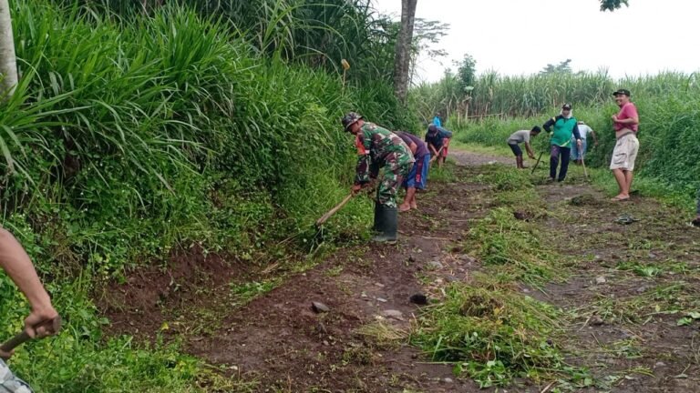 Kolaborasi Babinsa dan Petani Jadi Inspirasi, Jalan Menuju Lahan di Yosowilangun Kini Lebih Bersih dan Nyaman