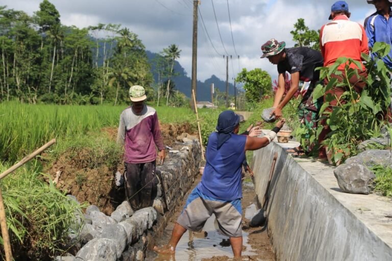 Sinergi TNI dan Warga Kejar Target Pembangunan Irigasi TMMD 126 di Lebakharjo
