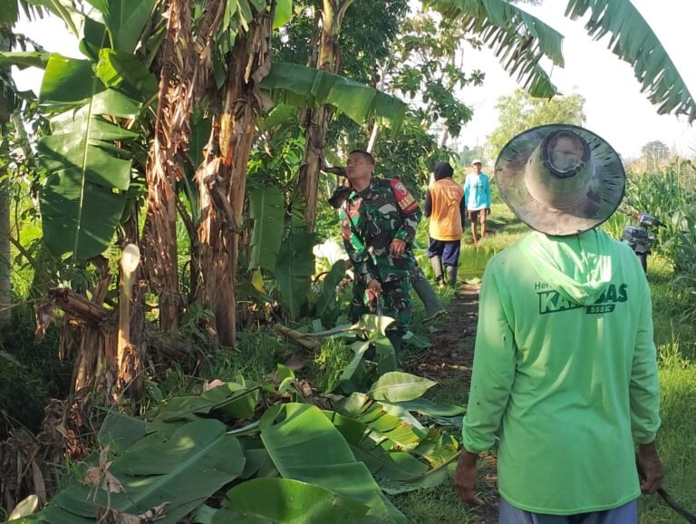 Gotong Royong: Babinsa dan Warga Gelar Pembersihan Irigasi di Nogosari