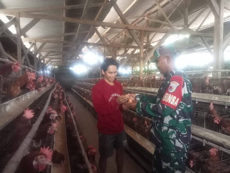 Babinsa Klanting Jalin Silaturahmi dengan Peternak Ayam Petelur, Dorong Semangat Usaha Mandiri Warga